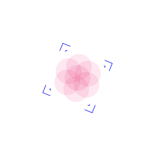 School of Motion – Advanced Motion Methods