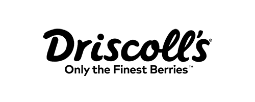 driscolls-1